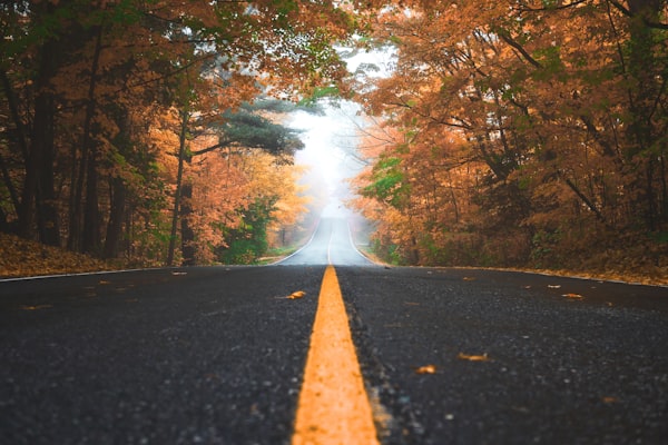 山间小路体现坚持与探索
